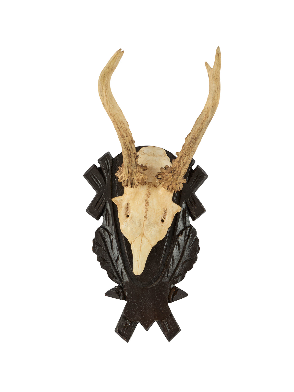 Vintage Black Forest Antler Trophy One Weston Table