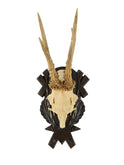 Vintage Black Forest Antler Trophy Three Weston Table