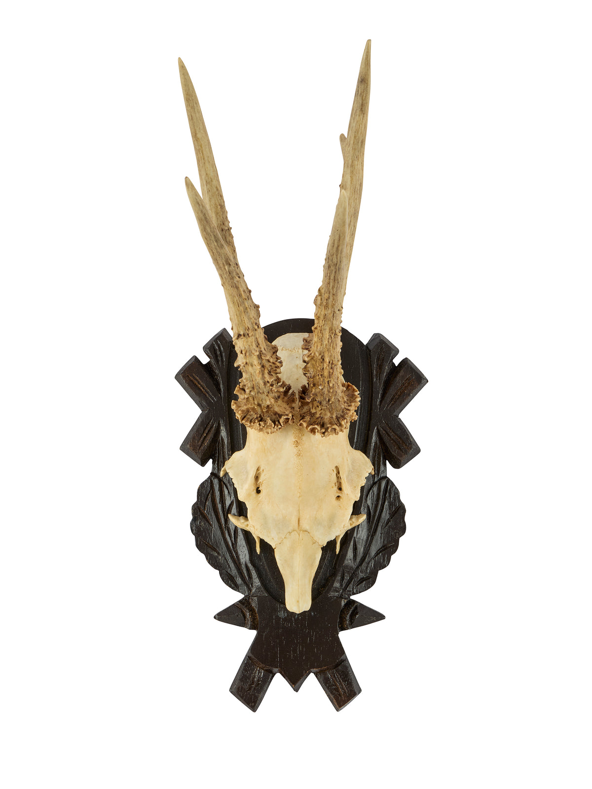 Vintage Black Forest Antler Trophy Three Weston Table