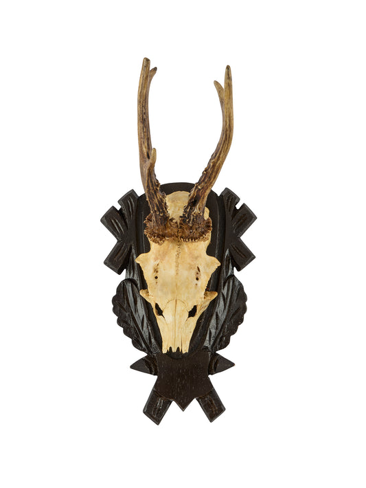 Vintage Black Forest Antler Trophy Two Weston Table