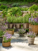 Vintage English Metal Connected Gardening Pots Weston Table