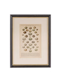 Vintage European Framed Brockhaus Egg Book Plate Weston Table