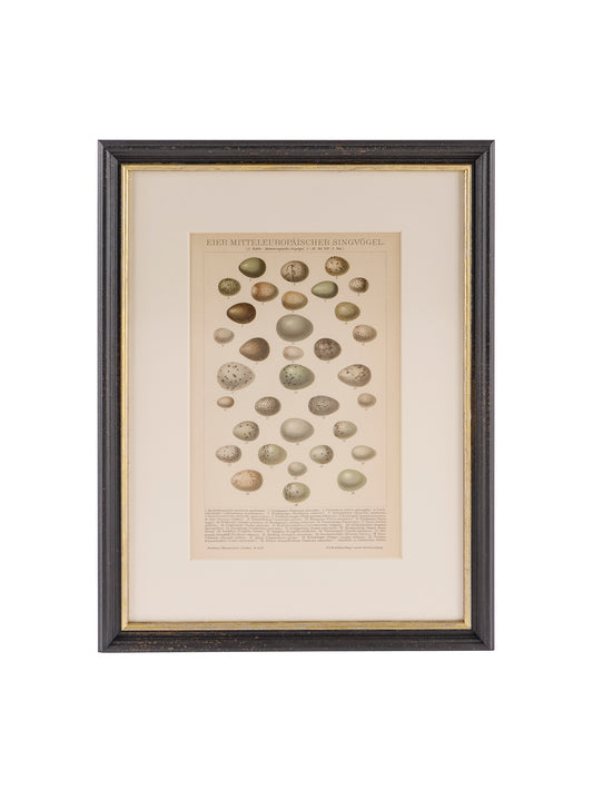 Vintage European Framed Brockhaus Egg Book Plate Weston Table