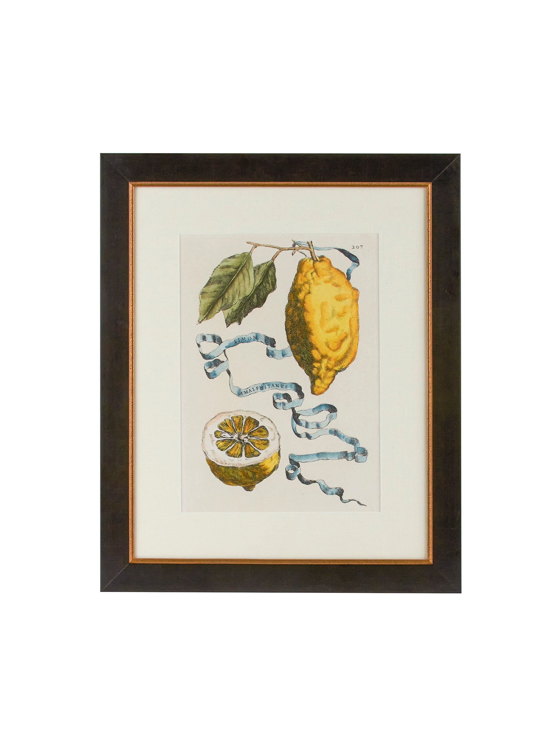Vintage Italian Lemon Study Hand Colored Engraving Weston Table