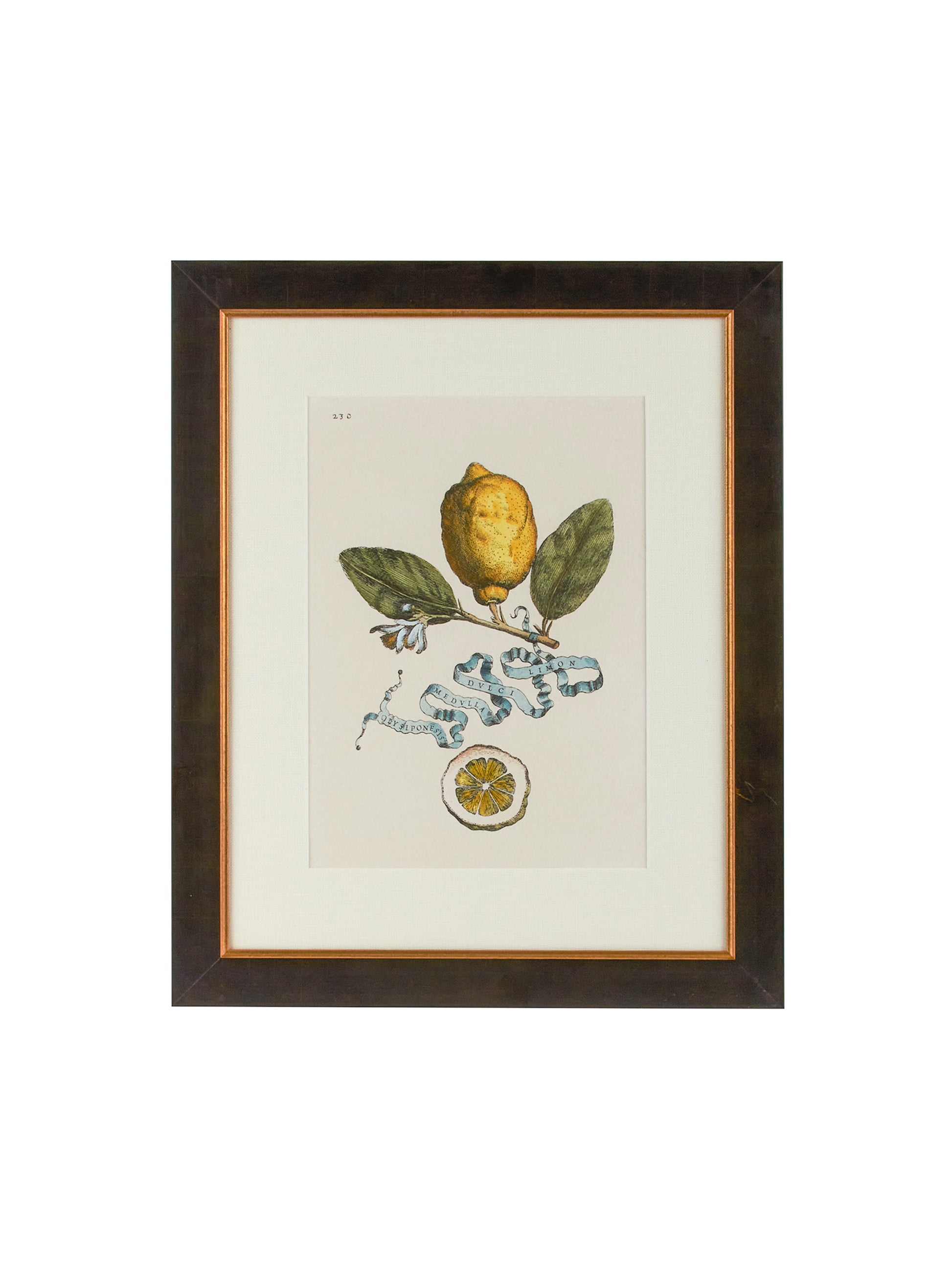 Vintage Italian Lemon Study Hand Colored Engraving Weston Table