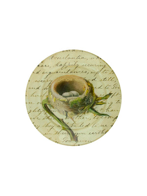  Vintage John Derian Bird Nest Round Plate Weston Table 