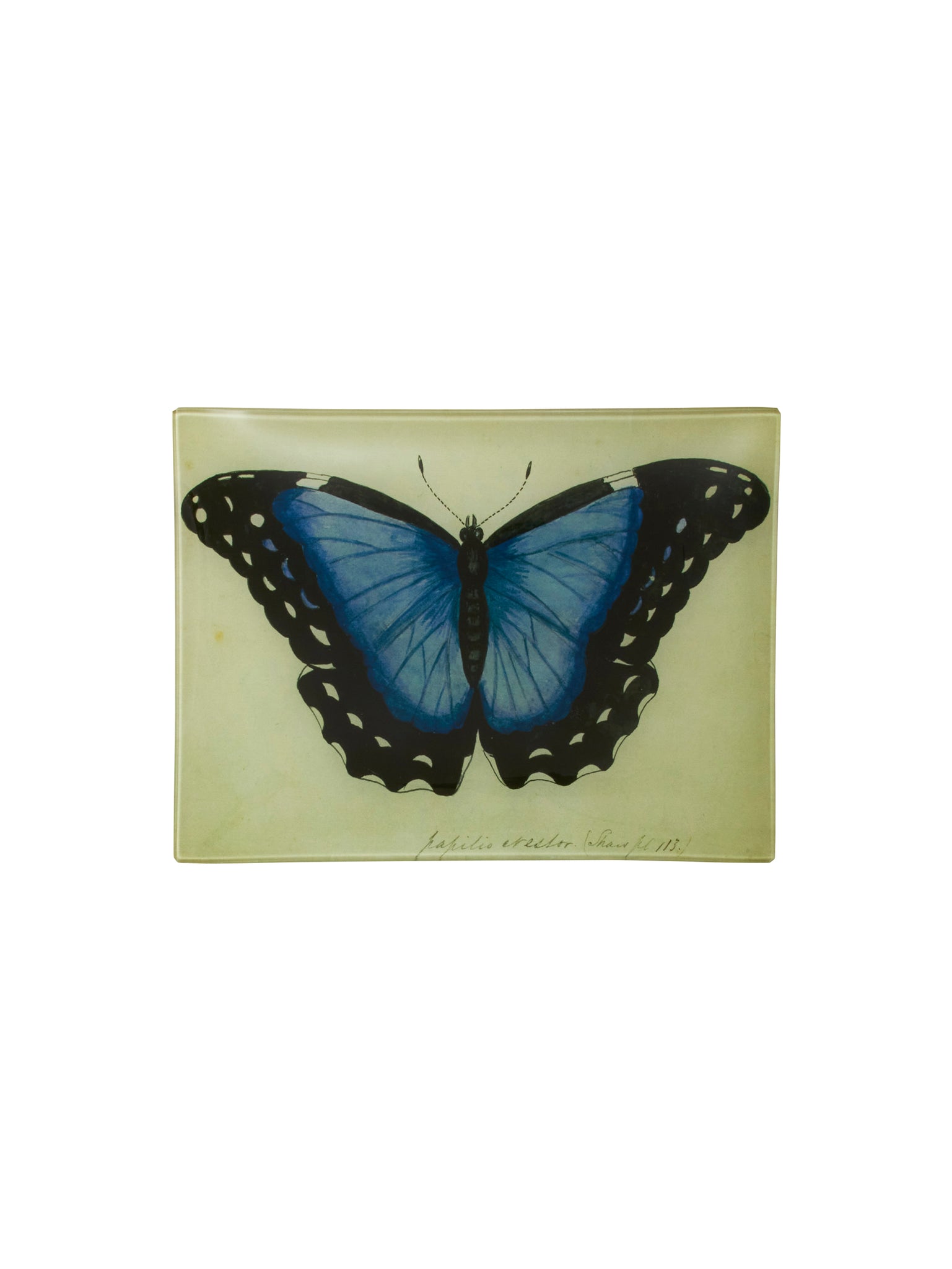 Vintage John Derian Butterfly Tray Weston Table