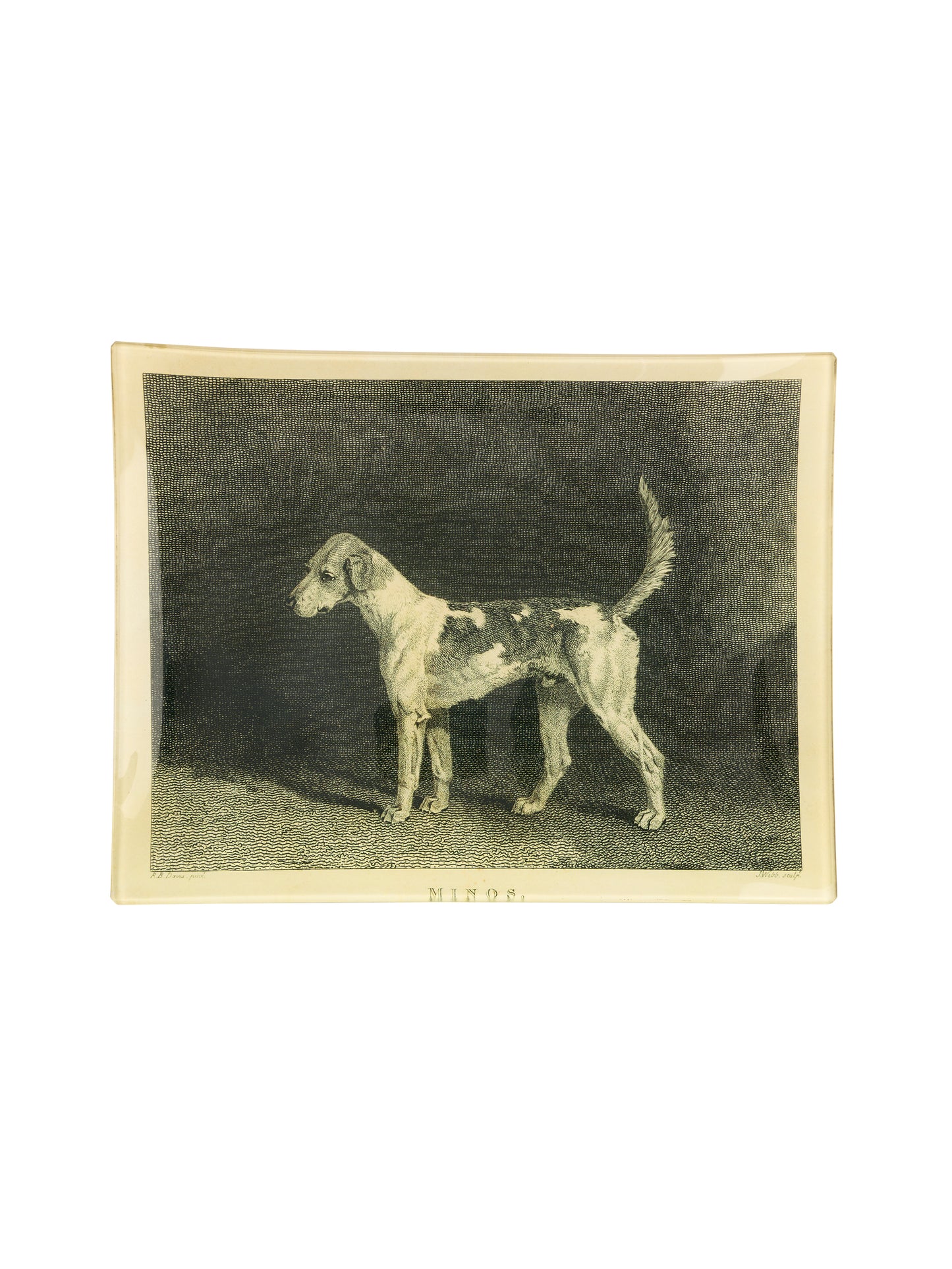 Vintage John Derian Decoupage Dog Tray Weston Table