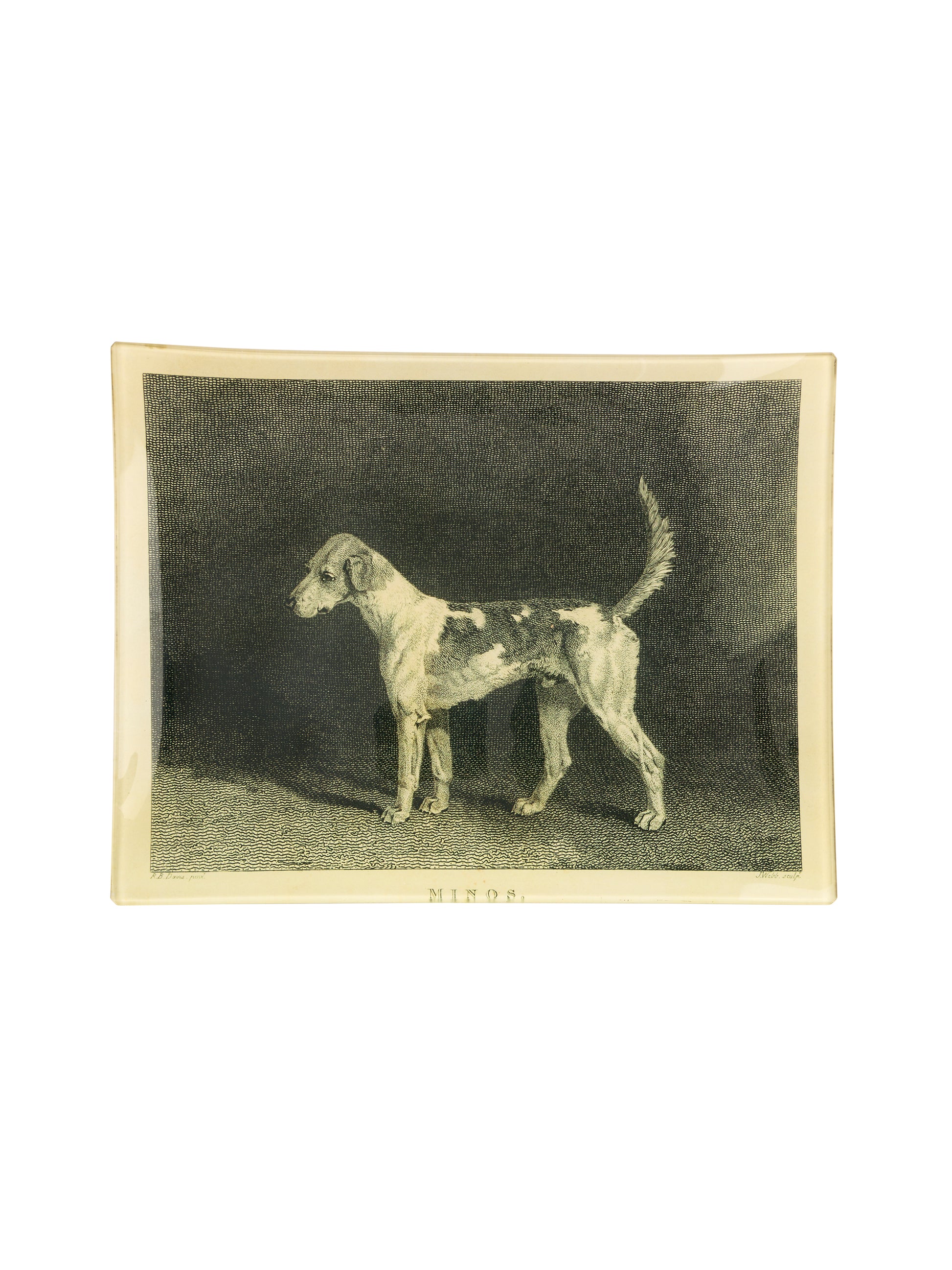 Vintage John Derian Decoupage Dog Tray Weston Table