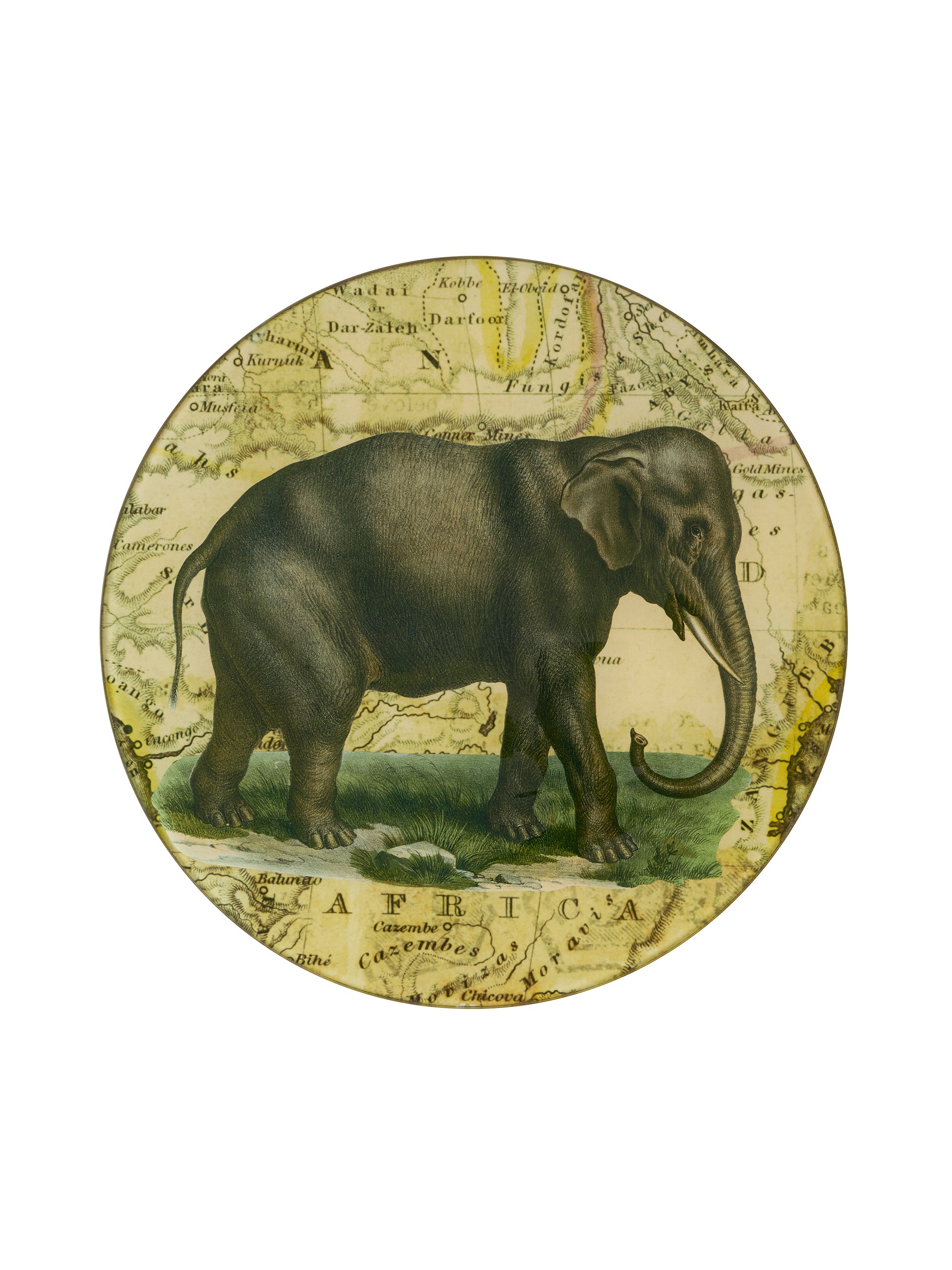 Vintage John Derian Decoupage Elephant Round Tray Weston Table