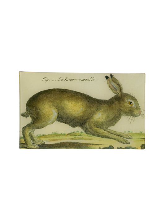 Vintage John Derian Decoupage Rectangular Hare Tray Weston Table