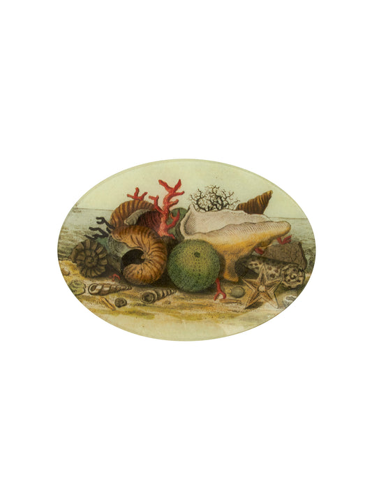 Vintage John Derian Decoupage Shell & Coral Oval Plate Weston Table