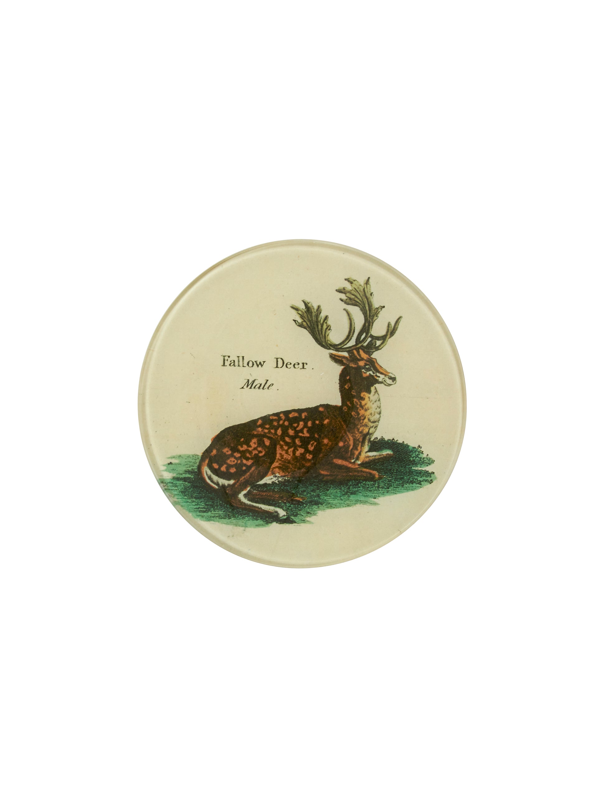 Vintage John Derian Fallow Deer Round Plate Weston Table