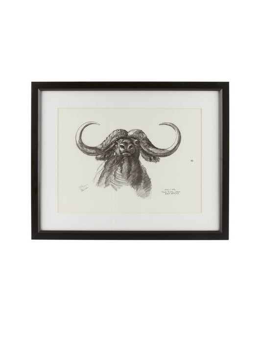 Vintage Kenyan Cape Buffalo Framed Art Weston Table