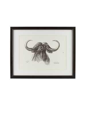  Vintage Kenyan Cape Buffalo Framed Art Weston Table 