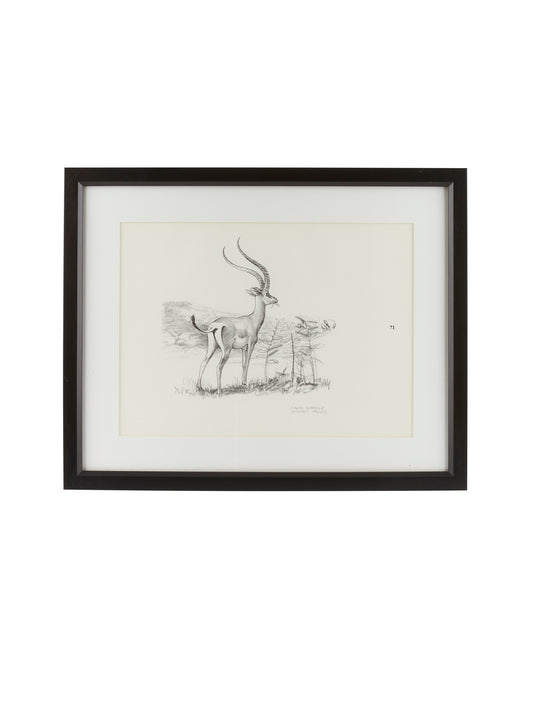 Vintage Kenyan Graphite Grant's Gazelle Framed Art Weston Table