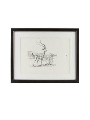  Vintage Kenyan Graphite Grant's Gazelle Framed Art Weston Table 