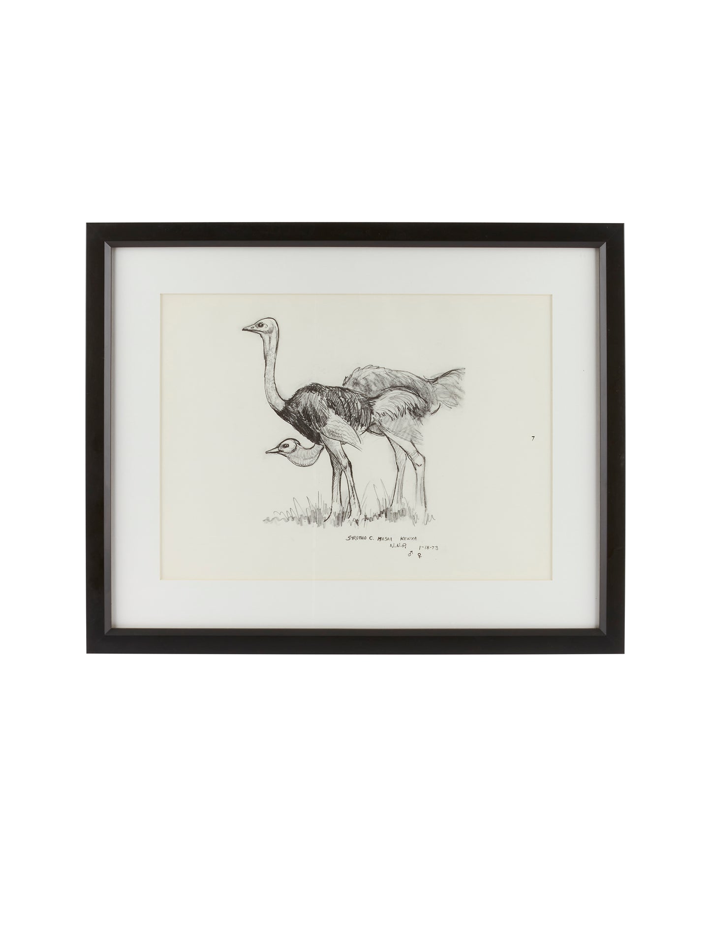 Vintage Kenyan Graphite Ostrich Framed Art Weston Table