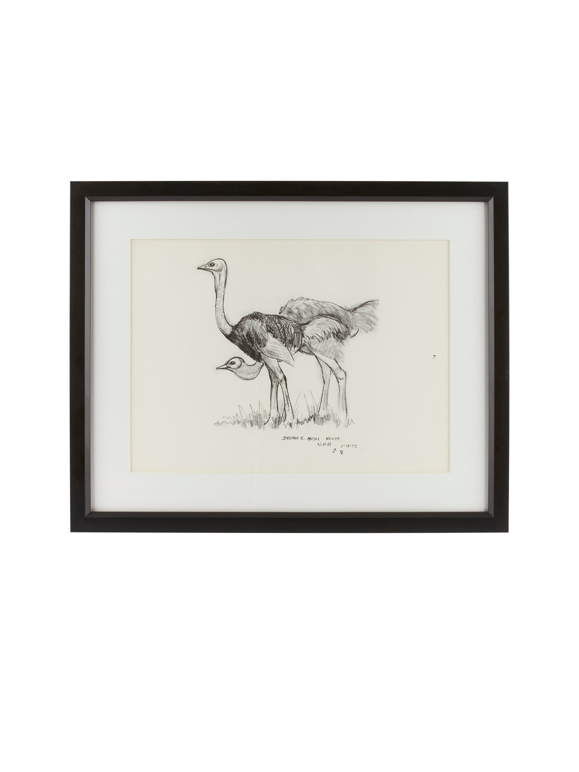 Vintage Kenyan Graphite Ostrich Framed Art Weston Table