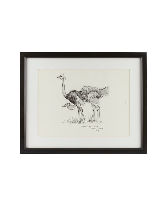 Vintage Kenyan Graphite Ostrich Framed Art Weston Table