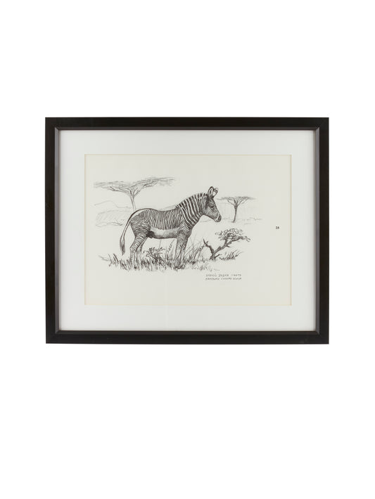 Vintage Kenyan Graphite Zebra Framed Art Weston Table