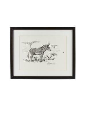  Vintage Kenyan Graphite Zebra Framed Art Weston Table 