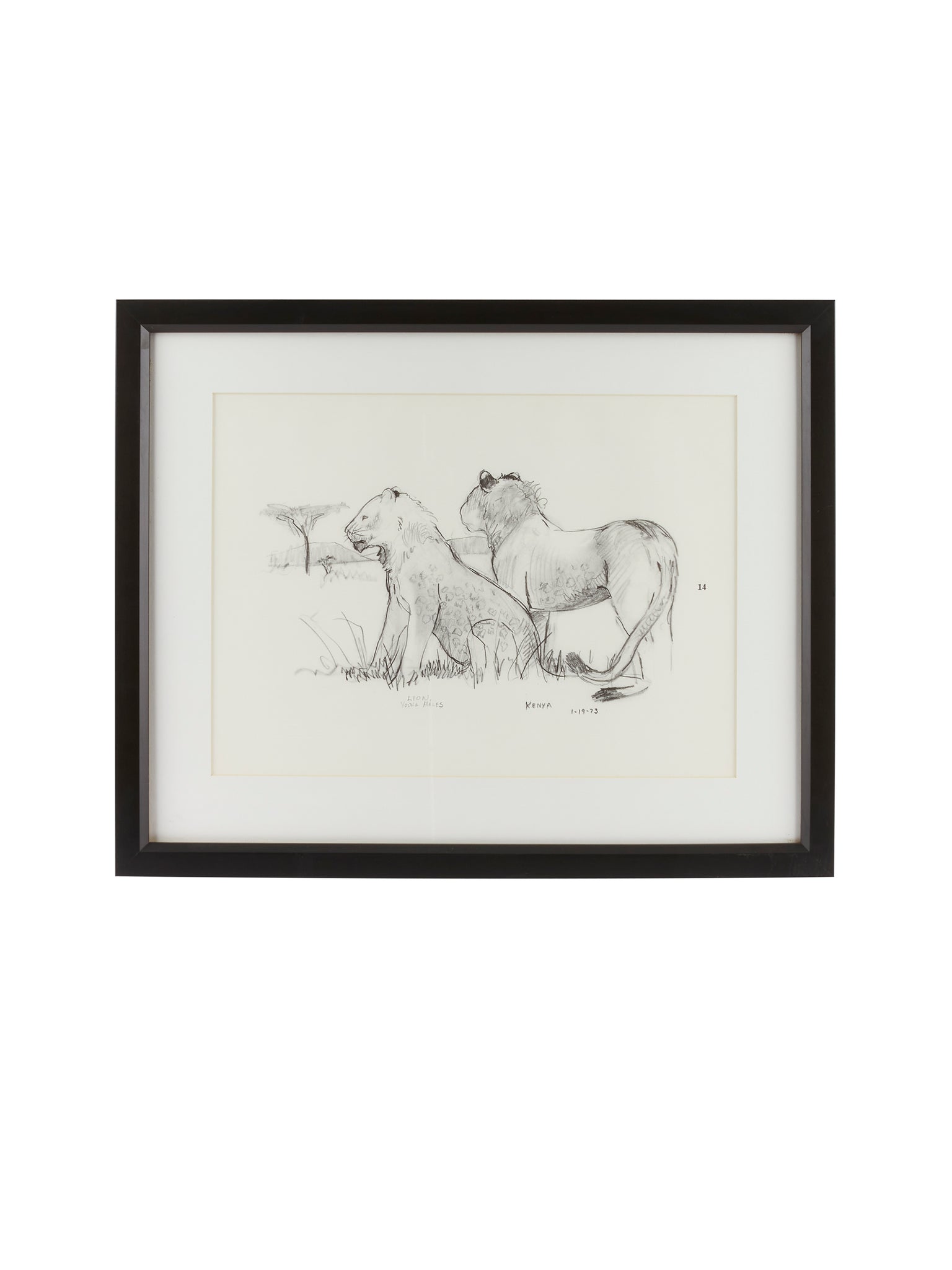 Vintage Kenyan Graphite Lion Framed Art Weston Table