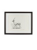 Vintage Kenyan Graphite Thomson's Gazelle Framed Art Weston Table