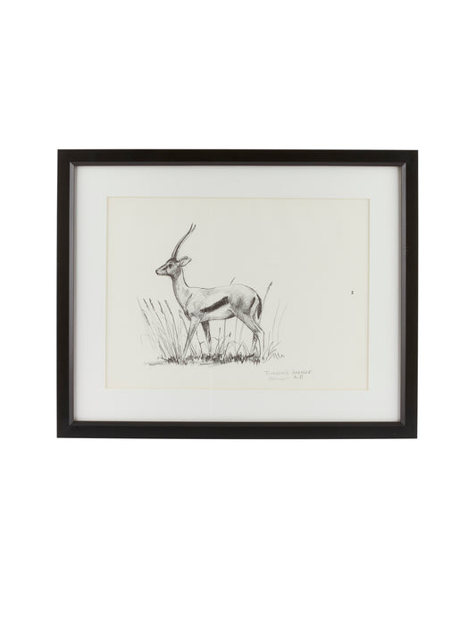 Vintage Kenyan Graphite Thomson's Gazelle Framed Art Weston Table