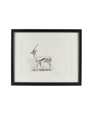  Vintage Kenyan Graphite Thomson's Gazelle Framed Art Weston Table 