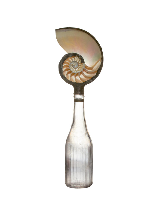 Vintage Nautilus Shell Glass Bottle Weston Table