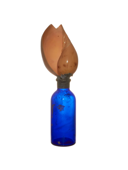 Vintage Orange Shell on Blue Glass Bottle Weston Table