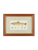 Vintage Rainbow Trout & Fly Art Two Weston Table