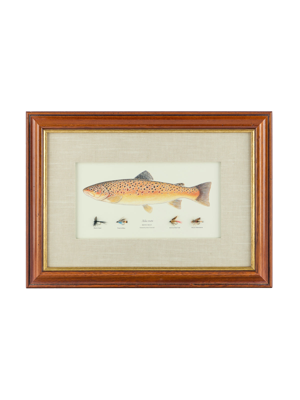 Vintage Rainbow Trout & Fly Art Two Weston Table