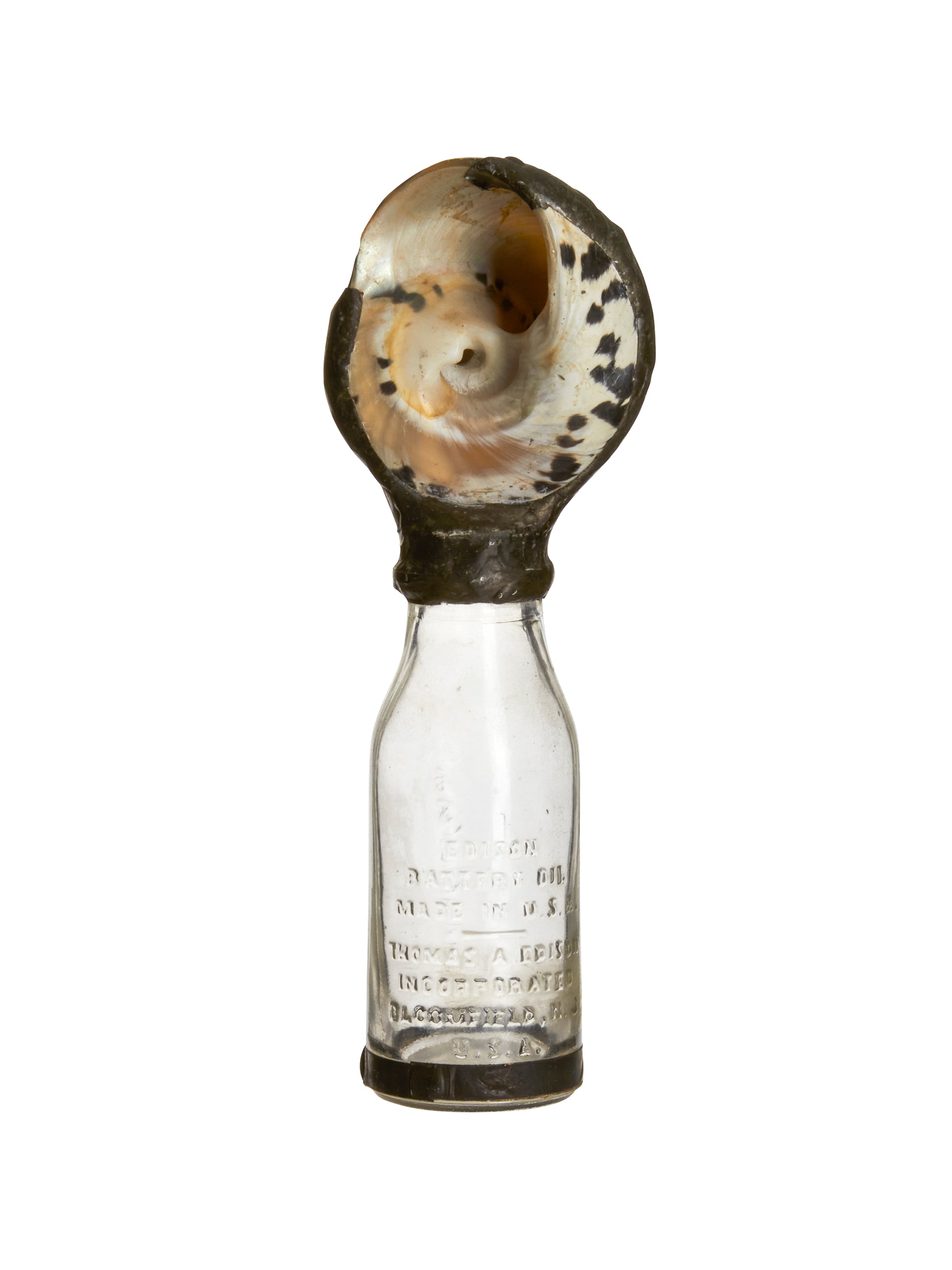 Vintage Sea Shell Glass Bottle Weston Table