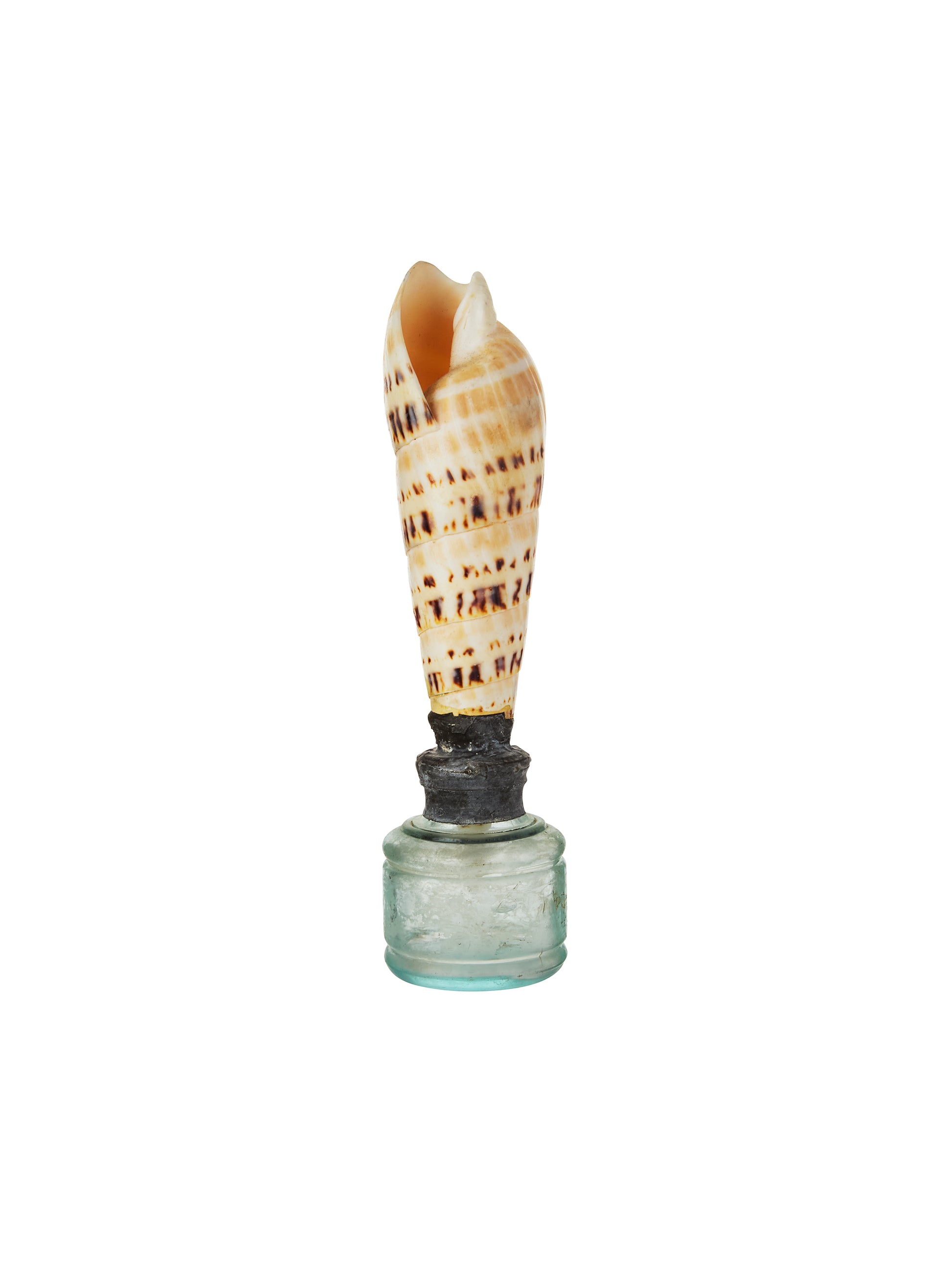 Vintage Sea Shell Glass Bottle Weston Table