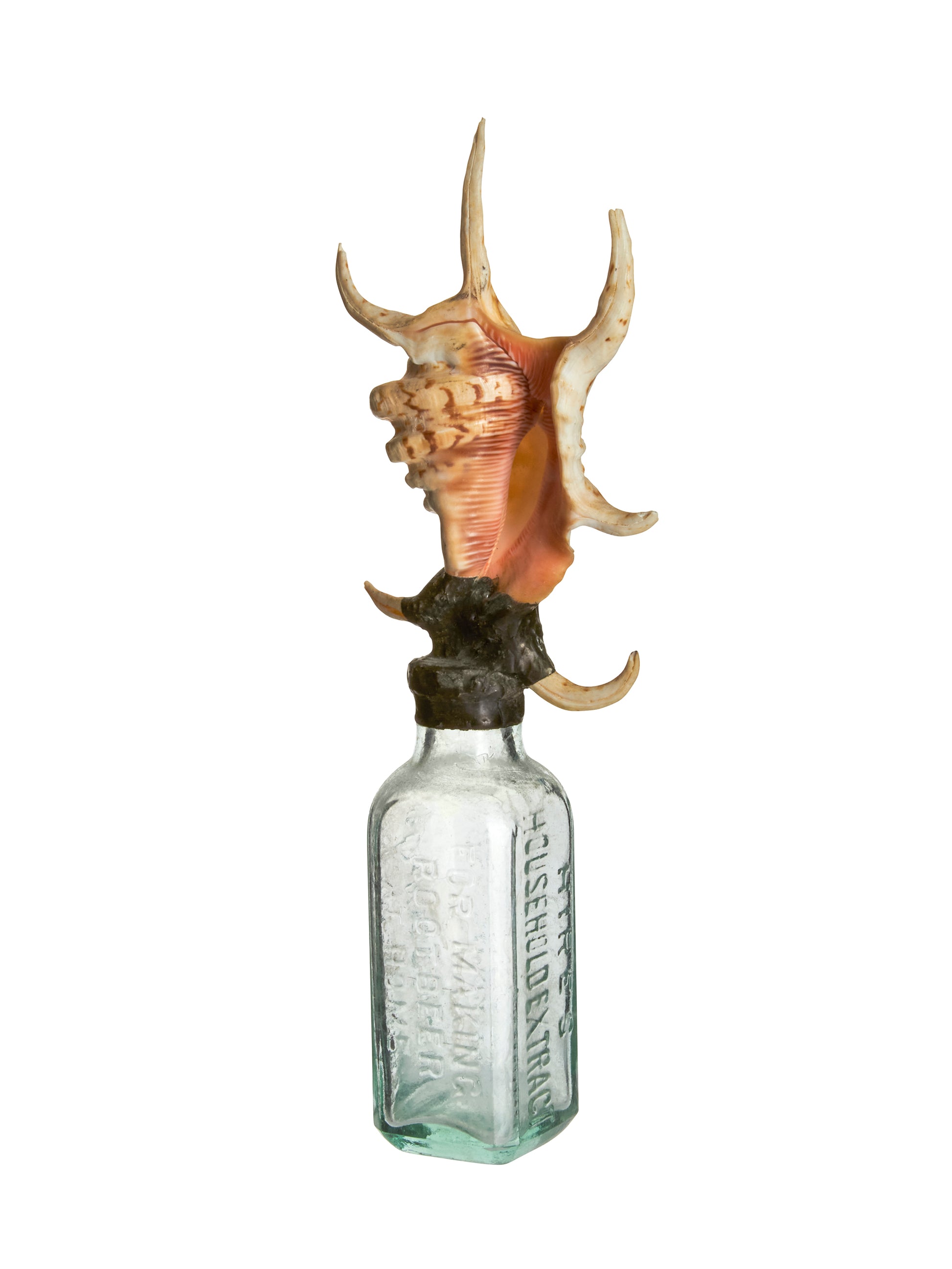 Vintage Sea Shell Glass Bottle Weston Table