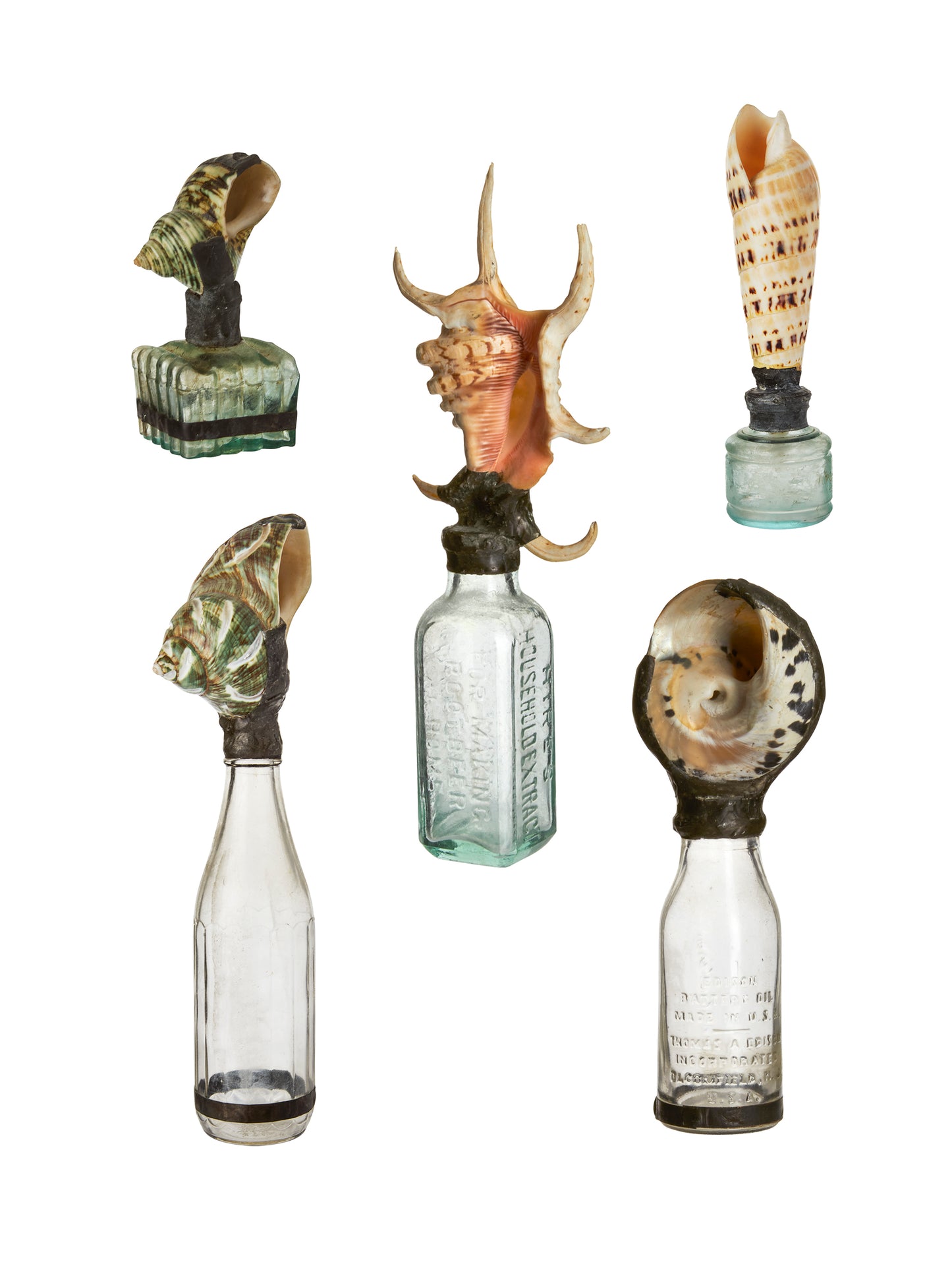 Vintage Sea Shell Glass Bottle Weston Table