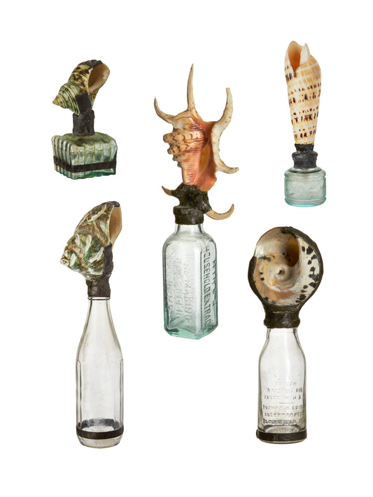 Vintage Sea Shell Glass Bottle Weston Table