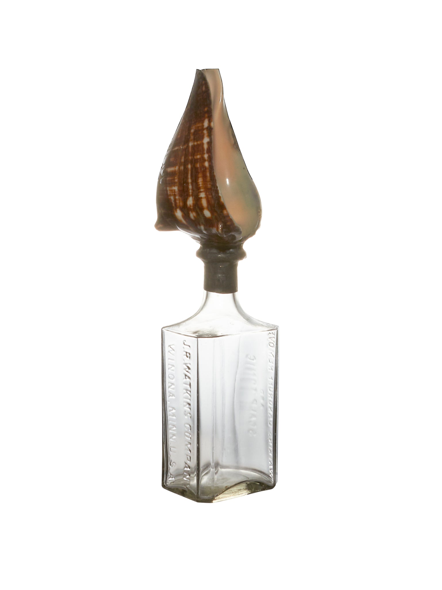 Vintage Sea Shell Glass Bottle Weston Table