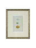 Vintage Speckled Egg Illustration Framed Art Three Egg Weston Table