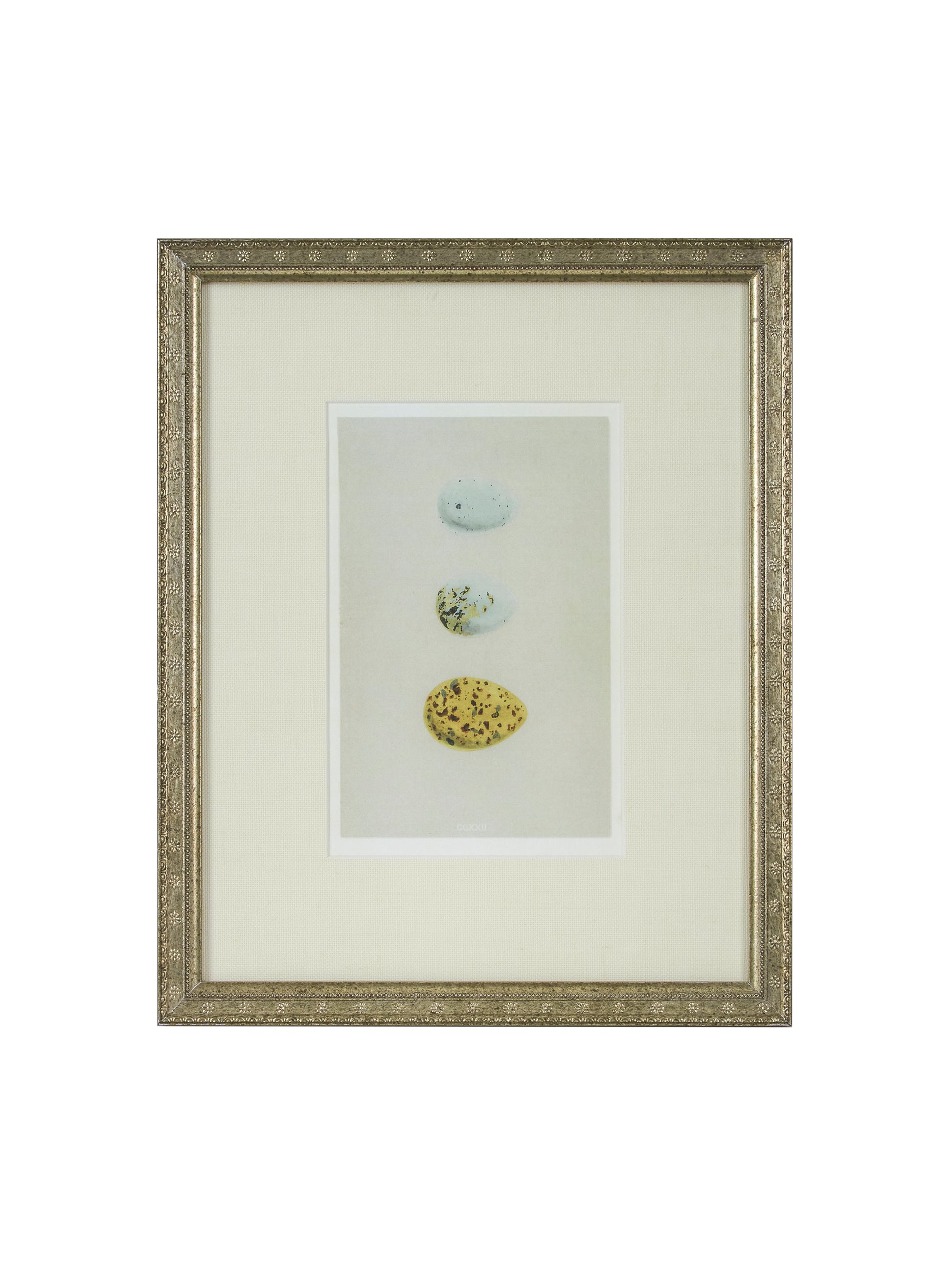 Vintage Speckled Egg Illustration Framed Art Three Egg Weston Table