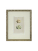 Vintage Speckled Egg Illustration Framed Art Two Egg Weston Table