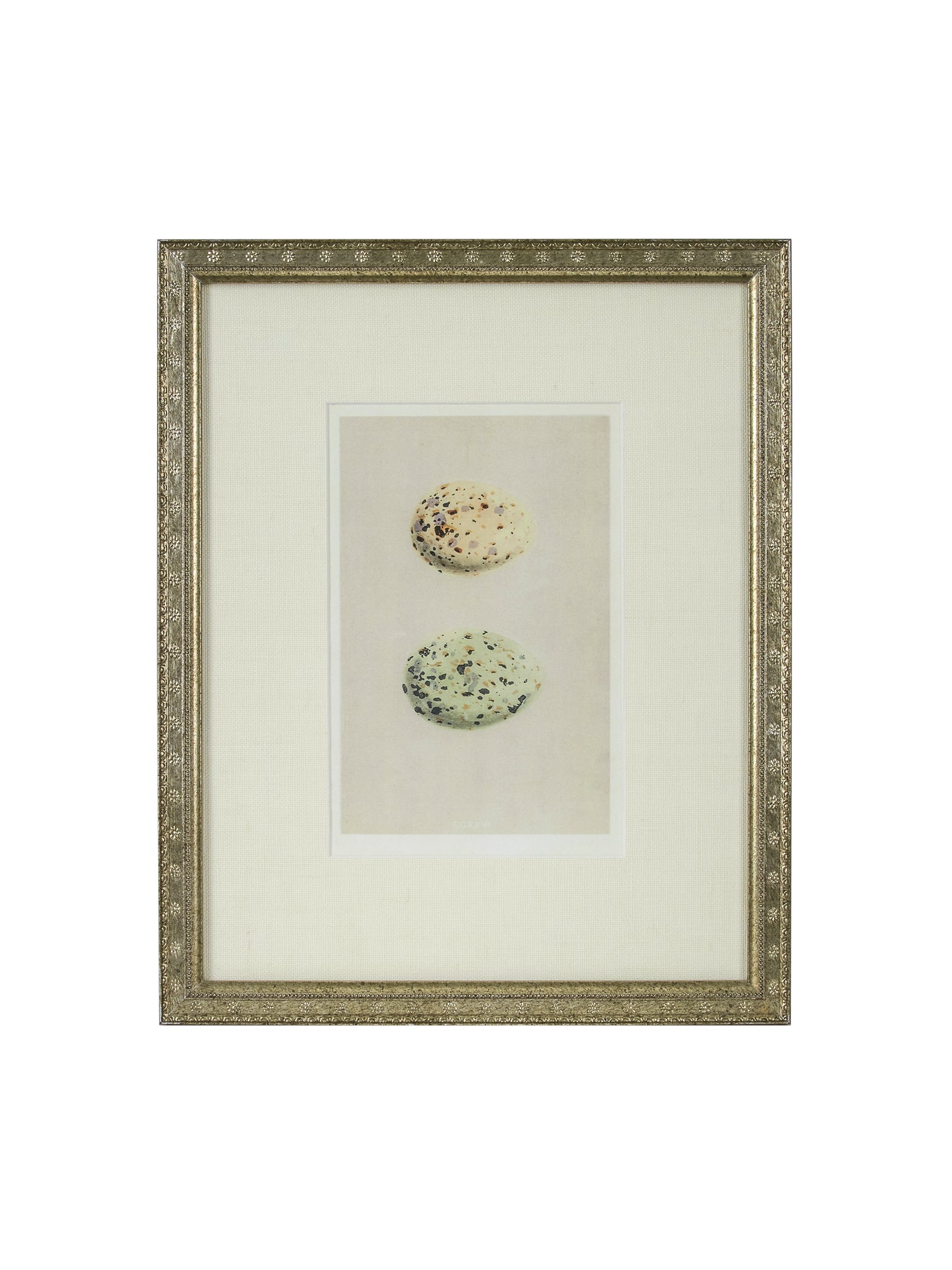 Vintage Speckled Egg Illustration Framed Art Two Egg Weston Table