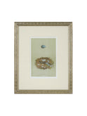 Vintage Speckled Egg and Nest Illustration Framed Art Blue Egg Weston Table