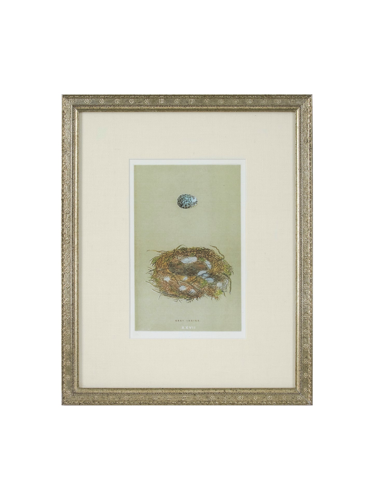 Vintage Speckled Egg and Nest Illustration Framed Art Blue Egg Weston Table