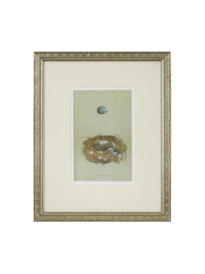  Vintage Speckled Egg and Nest Illustration Framed Art Blue Egg Weston Table 