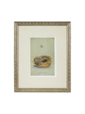 Vintage Speckled Egg and Nest Illustration Framed Art Pink Egg Weston Table