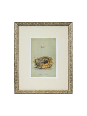  Vintage Speckled Egg and Nest Illustration Framed Art Pink Egg Weston Table 