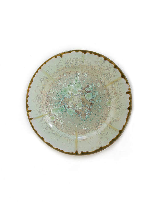 Mint and Tortoise Oyster Dinner Plate Weston Table